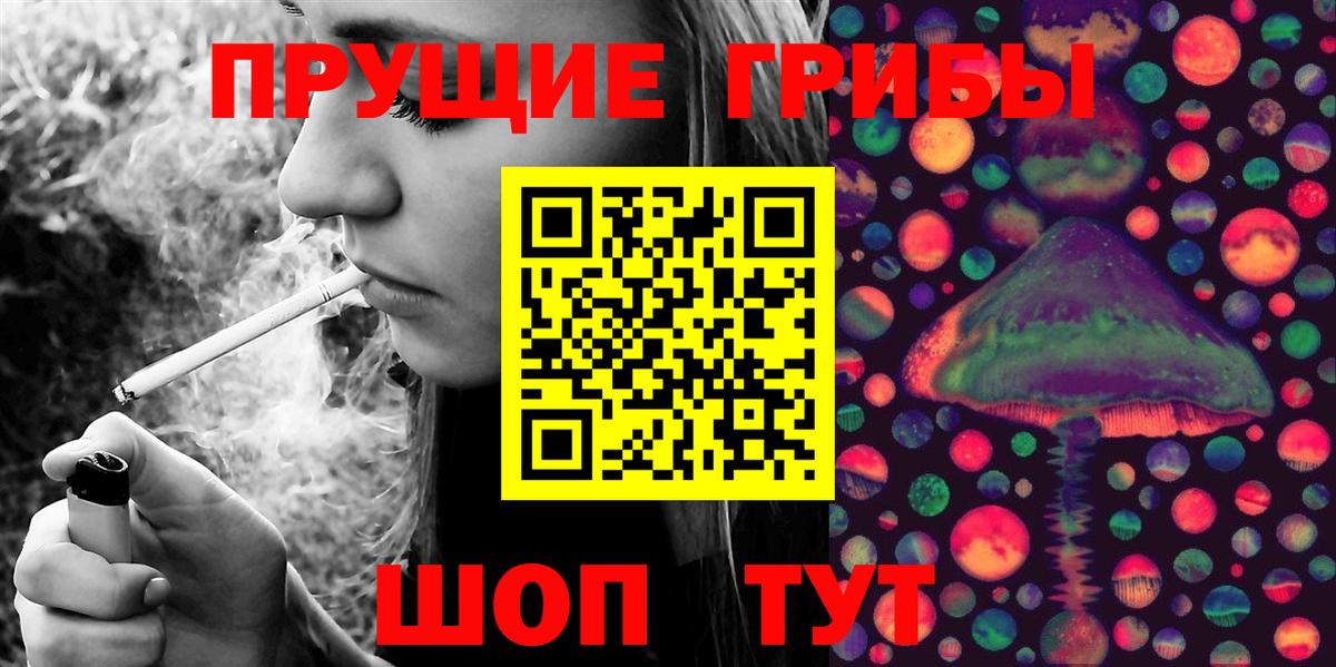 Невинномысск  Галлюциногенные грибы Psilocybe  Псилоцибиновые грибы мицелий  Вход с VPN 